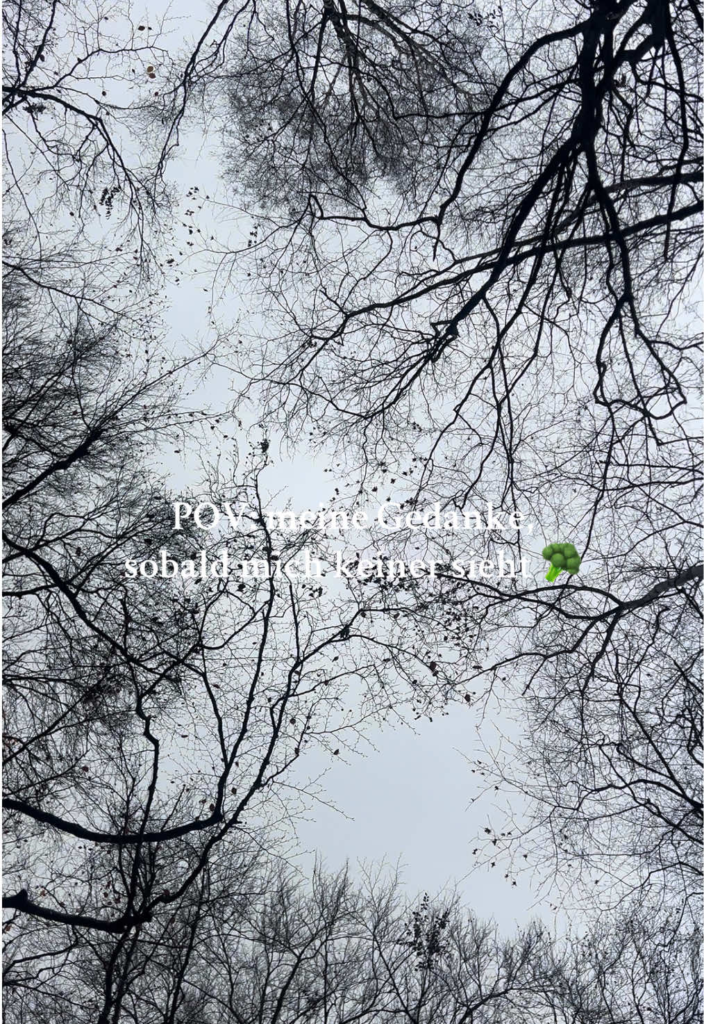 🪴💚 Dieser Moment, wenn du vom Gassi zurückkommst… und den Hund vergessen hast. 🐶😂 #fyp #pov #storytime #waldspaziergang #gedanken 