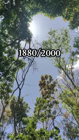 #affiliatemarketing #followme #affiliatemarketingforbeginners #fyp #newaffiliate 