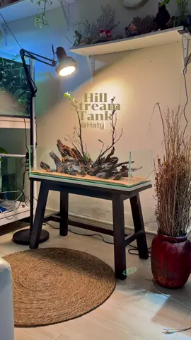 เตรียมส่ง…🍃 ตู้ลำธารขนาด 30*80*20 cm  #ดูแลง่าย #ตู้ลําธาร #รับทำตู้ปลา #หาดใหญ่ #hillstreamtank 