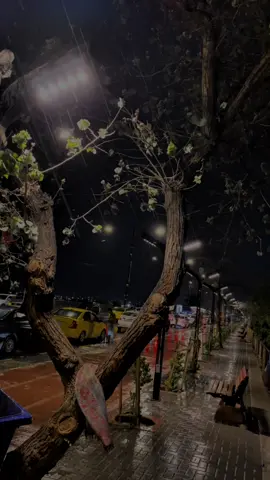 بعد وصولك لهذا العمر ما هو الدرس الذي تعلمته من الحياة#تصويري_احترافي_الاجواء👌🏻🕊😴 #مشاهير_تيك_توك_مشاهير_العرب🌺💜 #كوردستان_العراق_اربيل_دهوك_زاخۆ #الشعب_الصيني_ماله_حل😂😂 #مسكوف_ابو_جنة 