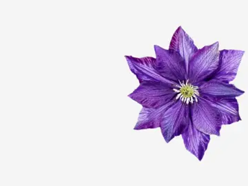 #speedsong #speedupsongs #nightcore #lyrics #fyp  @speed songs | lyrics 