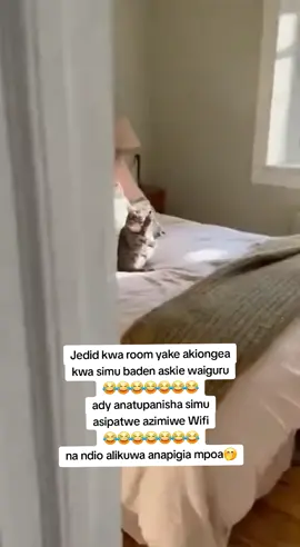 #fyp #fyp #fyp #fyp #fyp 