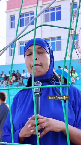 Midkamid ah tagerayaasha degmada goldogob#koobkadegmoyinkagobolkamudug #goldogob 