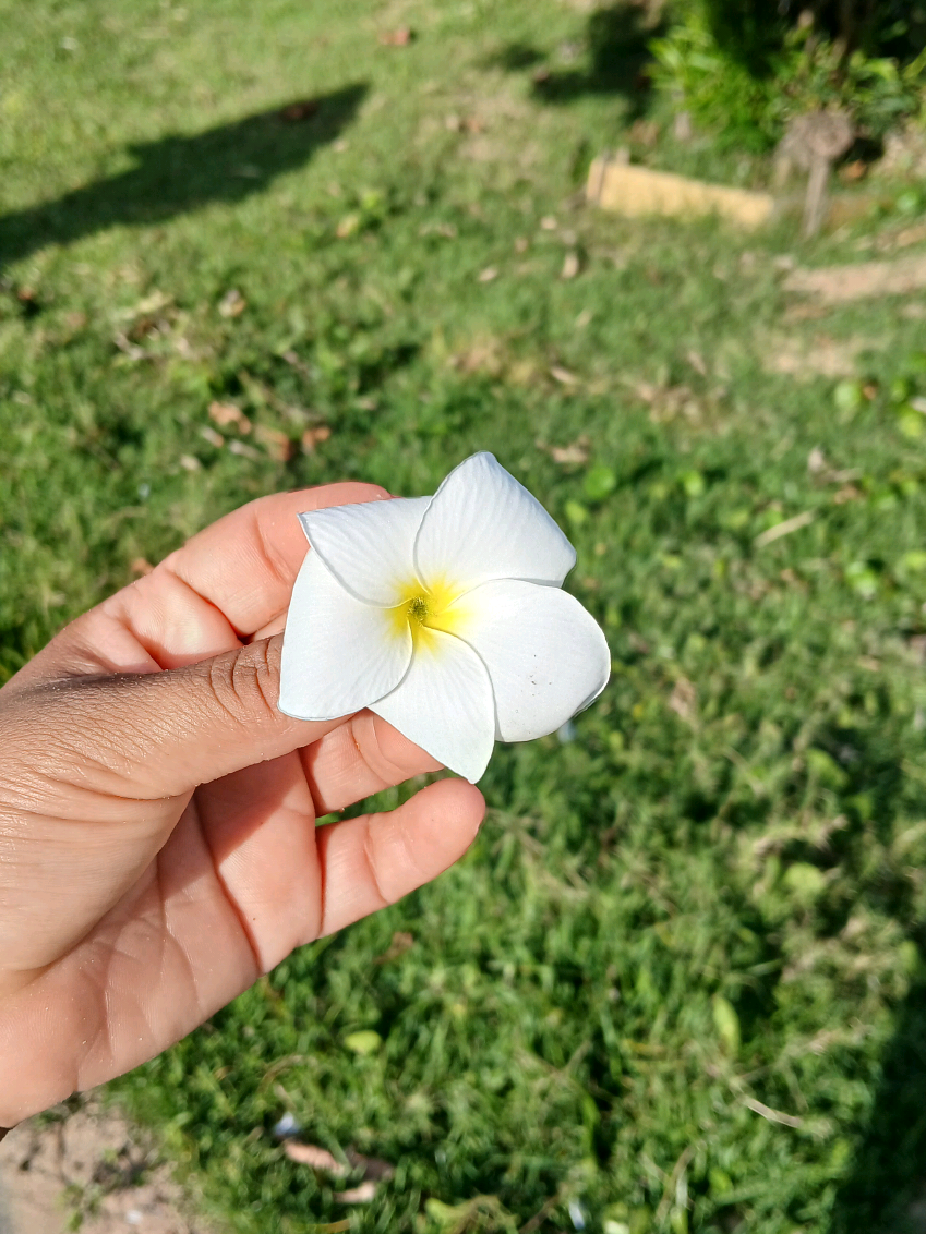 Minha rotina da manhã #rotina #donadecasa #feriado #familia 