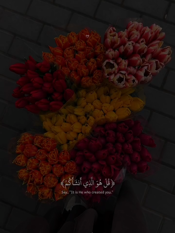 ﴿قُلْ هُوَ الَّذِي أَنشَأَكُمْ وَجَعَلَ لَكُمُ السَّمْعَ وَالْأَبْصَارَ وَالْأَفْئِدَةَ ۖ قَلِيلًا مَّا تَشْكُرُونَ﴾تلاوه جميلة بصوت القارئ عبدالله أحمد شعبان 🎧 🍂 #عبدالله_احمد_شعبان  #قرآن #quran_alkarim #quran 