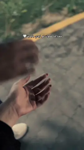 🤍🤍#CapCut #fyp #اكسبلور #بصره_بغداد_ميسان_ذي_قار_كل_المحافظات #ترندات_تيك_توك 