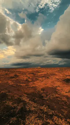 #اكسبلورexplore #الطائــي📸 #تصويري_احترافي_الاجواء👌🏻🕊😴 #شعب_الصيني_ماله_حل😂😂 