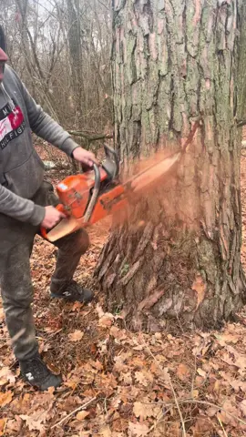 #creatorsearchinsights 