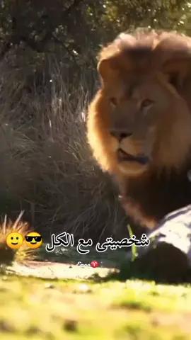 #for #الشعب_الصيني_ماله_حل😂😂 