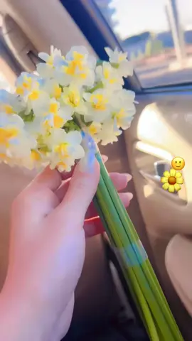 #دهوك_duhok #اناوردة_بس_ورد_نرجس🍃😌 