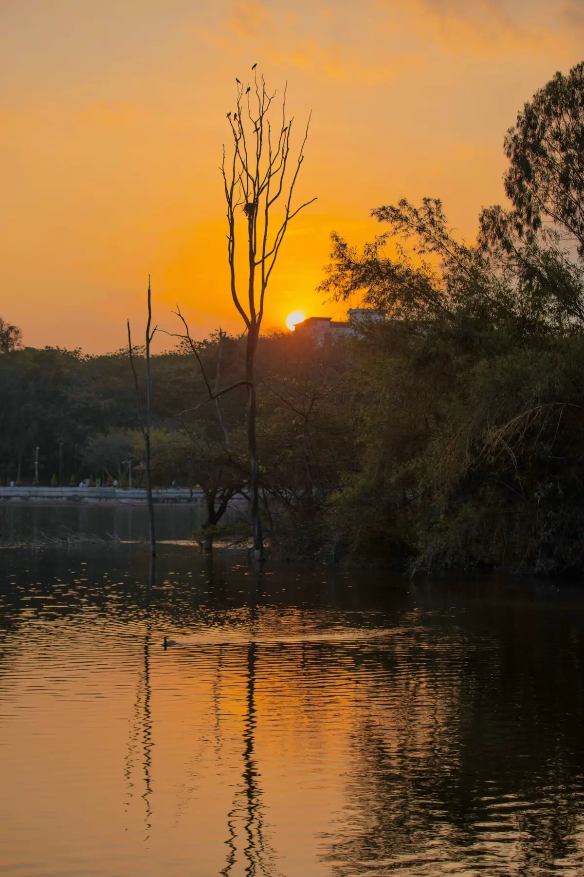 مجھے شوق تھا تیرے ساتھ کا جو نہ مل سکا چلو خیر ہے میری زندگی بھی گزر گئی تو بھی جا چکا چلو خیر ہے 🥀💔 #poetry #sad #foryou #deeplines #viral 