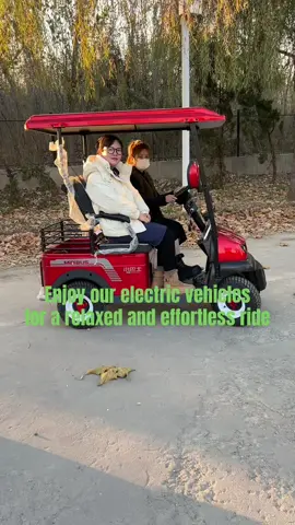 Enjoy our electric vehicles for a relaxed and effortless ride