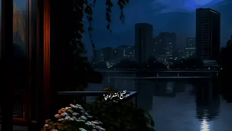 #الشيخ_الشعراوي 