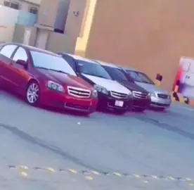 لايكات ارشيف