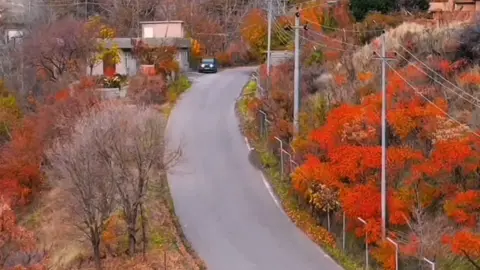 تــۆ تاکە بێگـانەی دنیایت، کە لەھەموو خزمەکانم  خۆشترم دەوێیت ...🔒 . #dyariarahman  #في هذا اليوم 