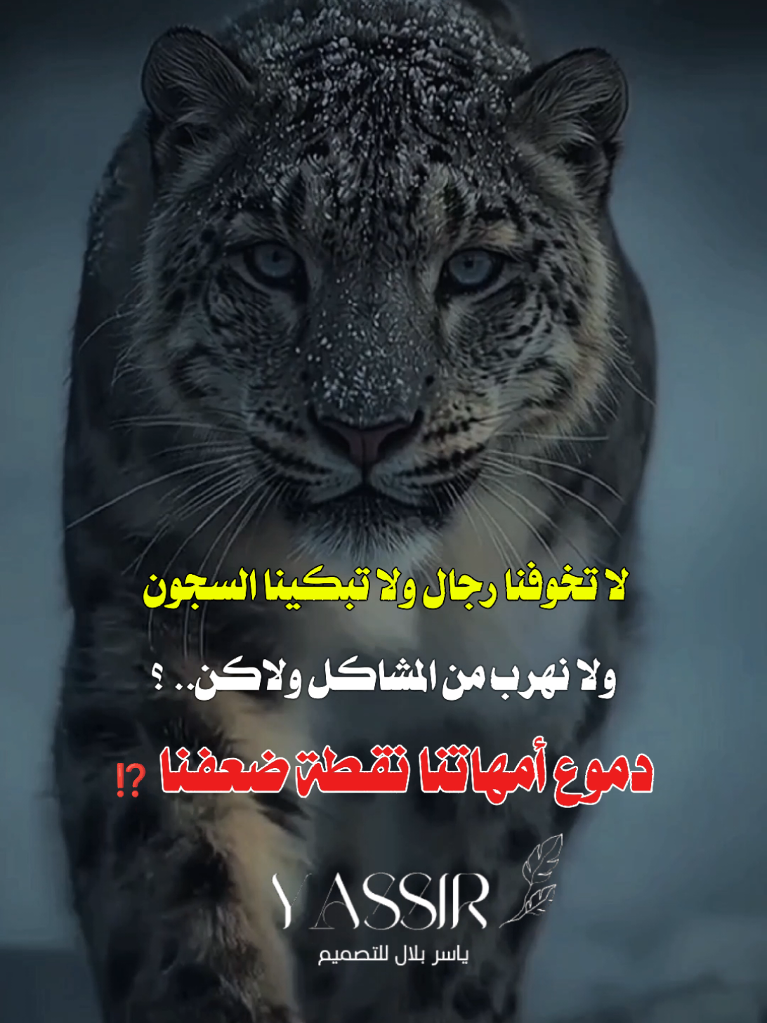 الرد على @user824765678036 #فلسفة_الفقراء🎩 #مصمم_فيديوهات🎬🎵 #خواطر_سودانية🇸🇩💜 #سودانيززز♥️_تيك_توك_♥️🎶🌸 #جخو،الشغل،دا،يا،عالم،➕_❤_📝 