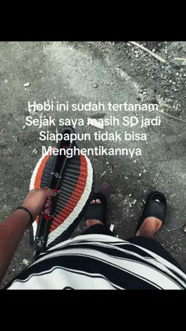 Lenang kok#botohayam  #botohcilik🐓🤘  #ayambangkoksuper #pakoyfullbrakot🥁🥁🥁 #bangkokthailand 