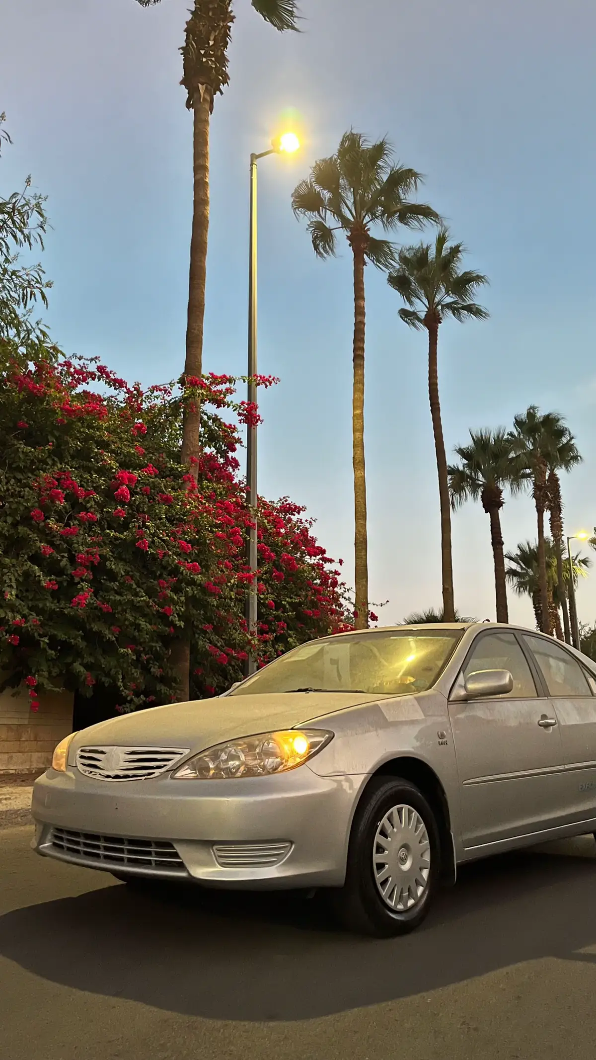 الـ new . #كامري2006 #الطايف #اكسبلور #fyp #explore 