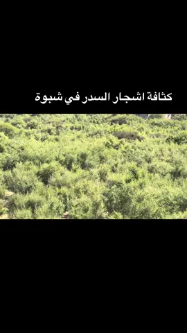 ##خيرات_الجنتين_للعسل_اليمني #اليمن #الاردن_فلسطين_العراق_سوريا #امريكا #اكسبلورexplore 