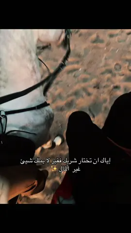 Balade a cheval 🐎 🤎 