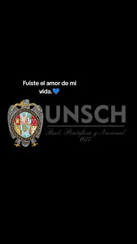 #univercidad #viraltiktok #fyppp #postulante 