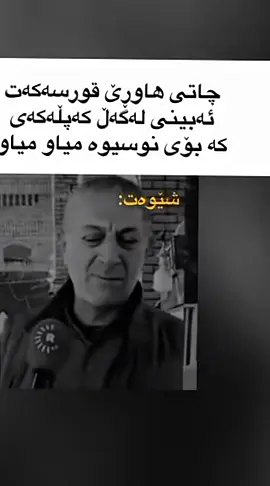 #porya #kurdistan #foryou #fyp #kurd 