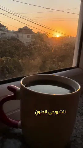 انت روحي الحنونِ ..💕#راغب_علامة #لا_تلعب_بالنار_تحرق_اصابيعك #اغاني #مجرد________ذووووووق🎶🎵💞 #اكسبلورexplore 