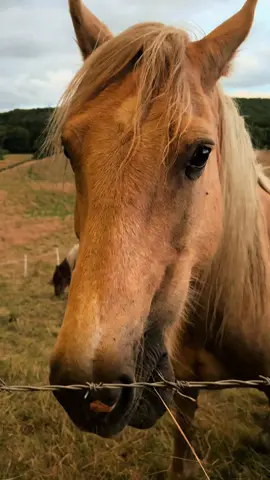 Alhamdulillah 💕 #houseoftiktok #housetour #fyp 