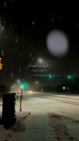 Surah Al-Mu’minun | Yaseer Al Doosari  #allah #zeealquran  #quran #foryoupage #ياسر_الدوسري 