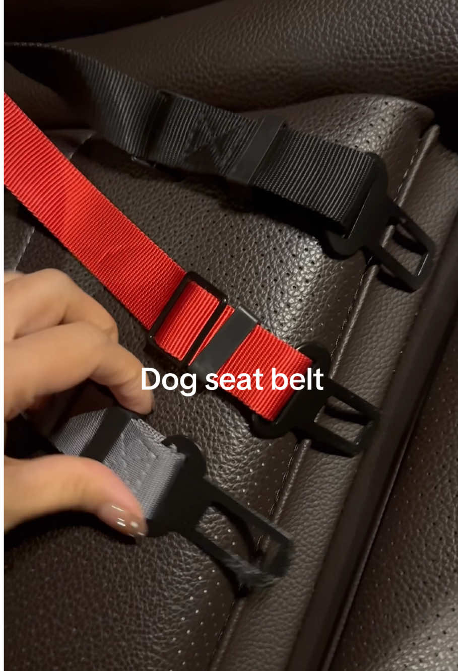 Keep your pup safe on the road with this easy-to-use adjustable dog seatbelt#Dogseatbelt#pettravelsafety#christmas seatbelt#safepuprides#blackfriday 