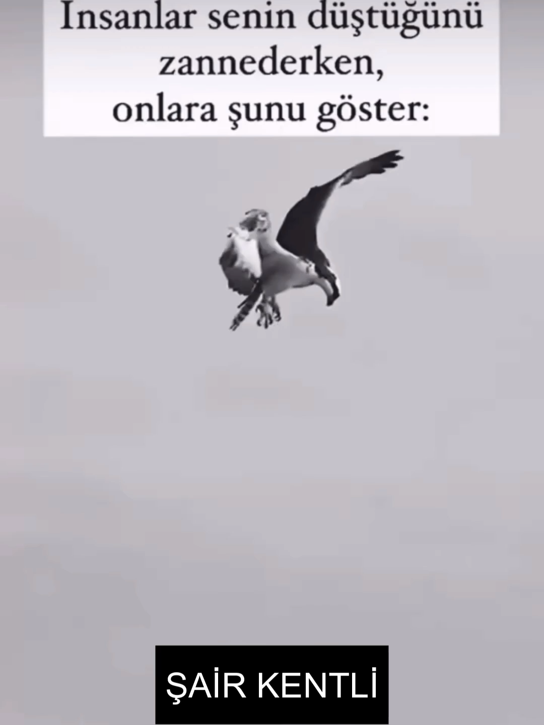 İnsanlar senin düştüğünü zannederken onlara şunu göster: Sen aslında sadece hayallerinin ve hedeflerinin peşinden koşuyordun.