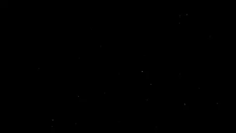 طعني طعنت غلا!👨‍🦯💔