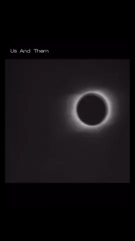 #pinkfloyd #us #them #fyp 