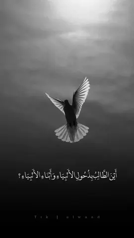 أَيْنَ الطَّالِبُ بِدَمِ الْمَقْتُولِ بِكَرْبَلاَء. #دعاء_الندبة #الامام_المهدي #بغداد #العراق #ياصاحب_الزمان 