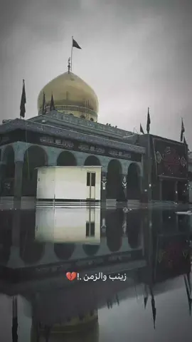 غريبه زينب ..💔 #يازينب #الشام #غربه  #مجتبى_الكعبي #يازينب_يامولاتي 