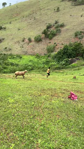 Correu até pegar😂😂😂😂😂