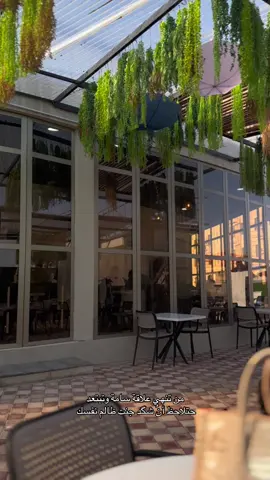 العبارات تلگوهن بـ قناتي الرابط بالبايو 