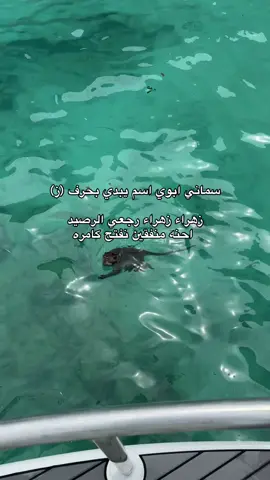 #الشعب_الصيني_ماله_حل😂😂 #اكسبلورexplore #fypシ゚viral🖤tiktok #explore 