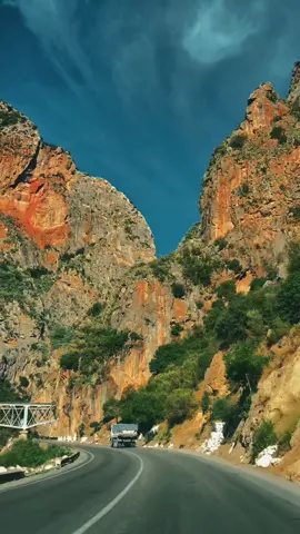 #عنابة #ميلة_الزينة_حنا_فيگ_تربينا😘😘 #شعب_الصيني_ماله_حل😂😂 #الجزائر🇩🇿 #قسنطينة 