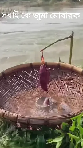 #tikokindia #tiktokviral #সাপোর্ট_করলে_সাপোর্ট_পাবে #সবাই_একটু_সাপোর্ট_করবেন_প্লিজ 