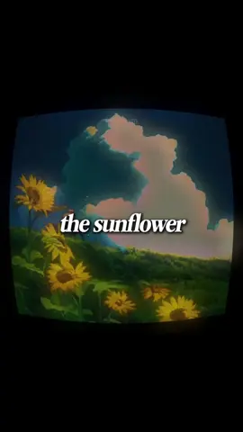 Have you heard of the Sunflower Theory? They say when you give someone sunflowers, you should always give two. Because when the sun shines bright, sunflowers face the light. But when night falls, they turn to face each other, finding light in one another. ❝ @opusreality  🔥Want to know how we built a community of over 1,7 million followers across Instagram and TikTok? Click the link in our bio, and let’s get you started on your journey to success!🚀 🎥 Content includes third-party material used for commentary/parody purposes. All rights belong to their respective owners. #quotes #lifequotes #hopecore #deepthoughts #poetry   