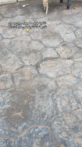 i haate bahdltni 😭😭#fypシ゚ #fypage #fypppp #justagirl 