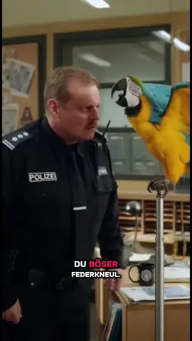 Na du alte Krähe 😂 #papagei #polizei #lustig #fürdich #ki 