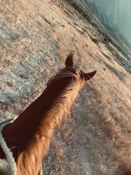 #antonioaguilar #caballos #rancho #parati 