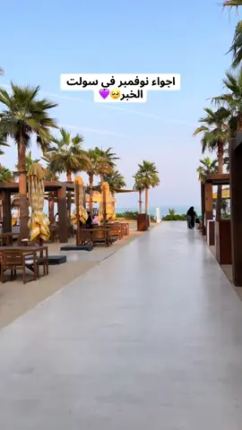 ماذا لو كانت كل فصول السنه نوفمبر 🌹♥️ #سولت #سولت_الخبر #سولت_البحر_الخبر 