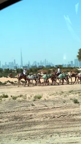 #foryou #songishtam #jumamubarak 