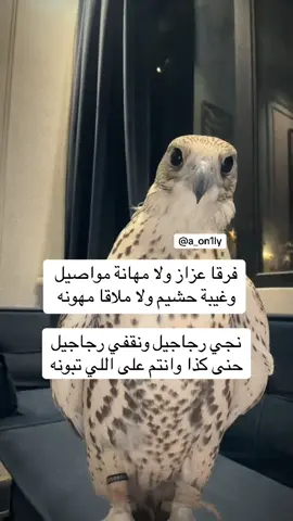 #فلسطين_أحساس_شاعر_لايك_فضلآ_وليس_أمرآ 