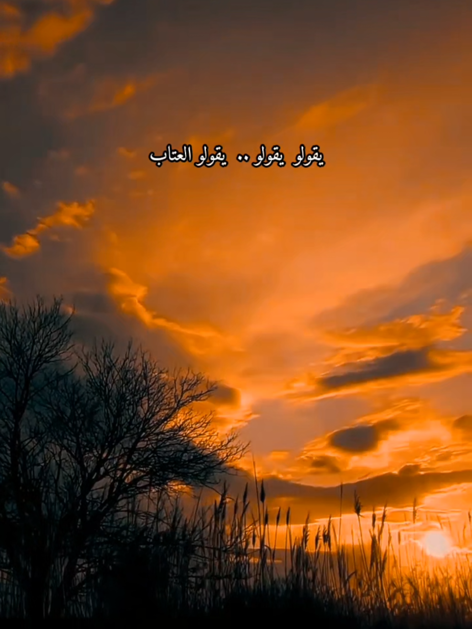 #اكسبلور #fyp #foryou #foryoupage #علي_عبدالكريم 