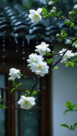 🥰🥰🥰🥰🥰#💞💞💞🩷🩷🩷🩷#foryou #idukkikari #foryou #