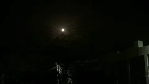 تدبروا الآيات ♥😔| سورة آل عمران من 190 إلى 194 القارئ مهدي الشيشاني حفظه الله | #quran #سورة_آل_عمران #islam #foryourpage #راحه_نفسيه 